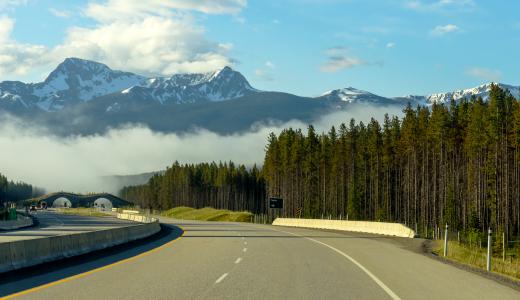 Well-designed road gently curves toward mountain